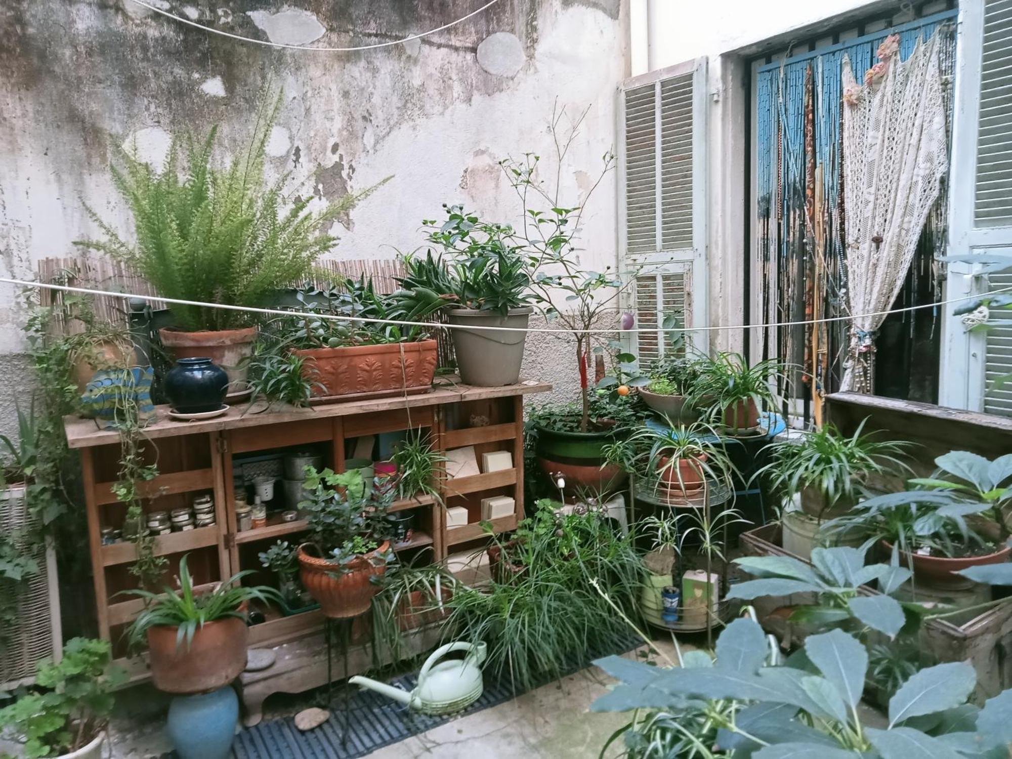 Un Jardin En *