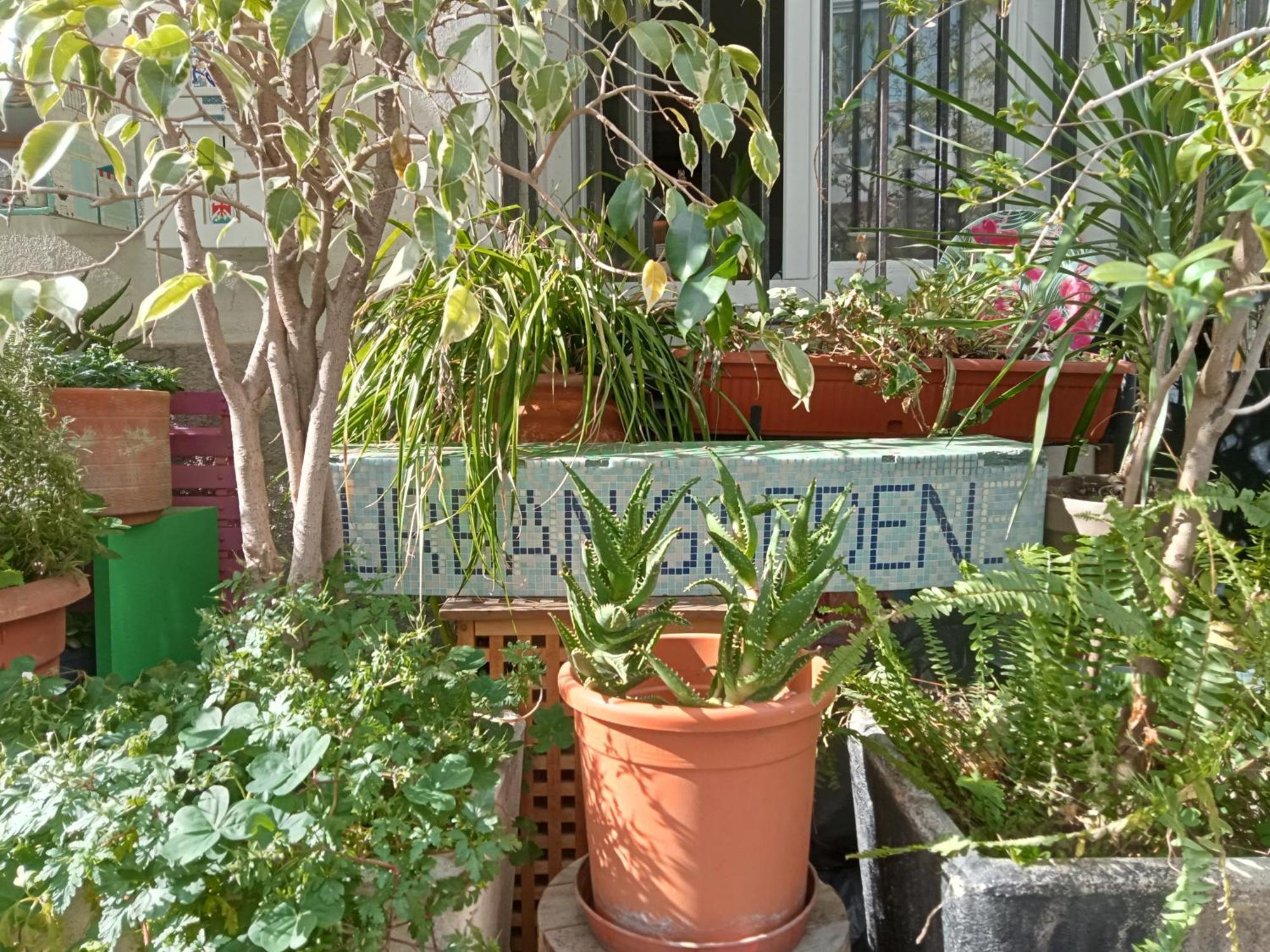 Un Jardin En * Nice
