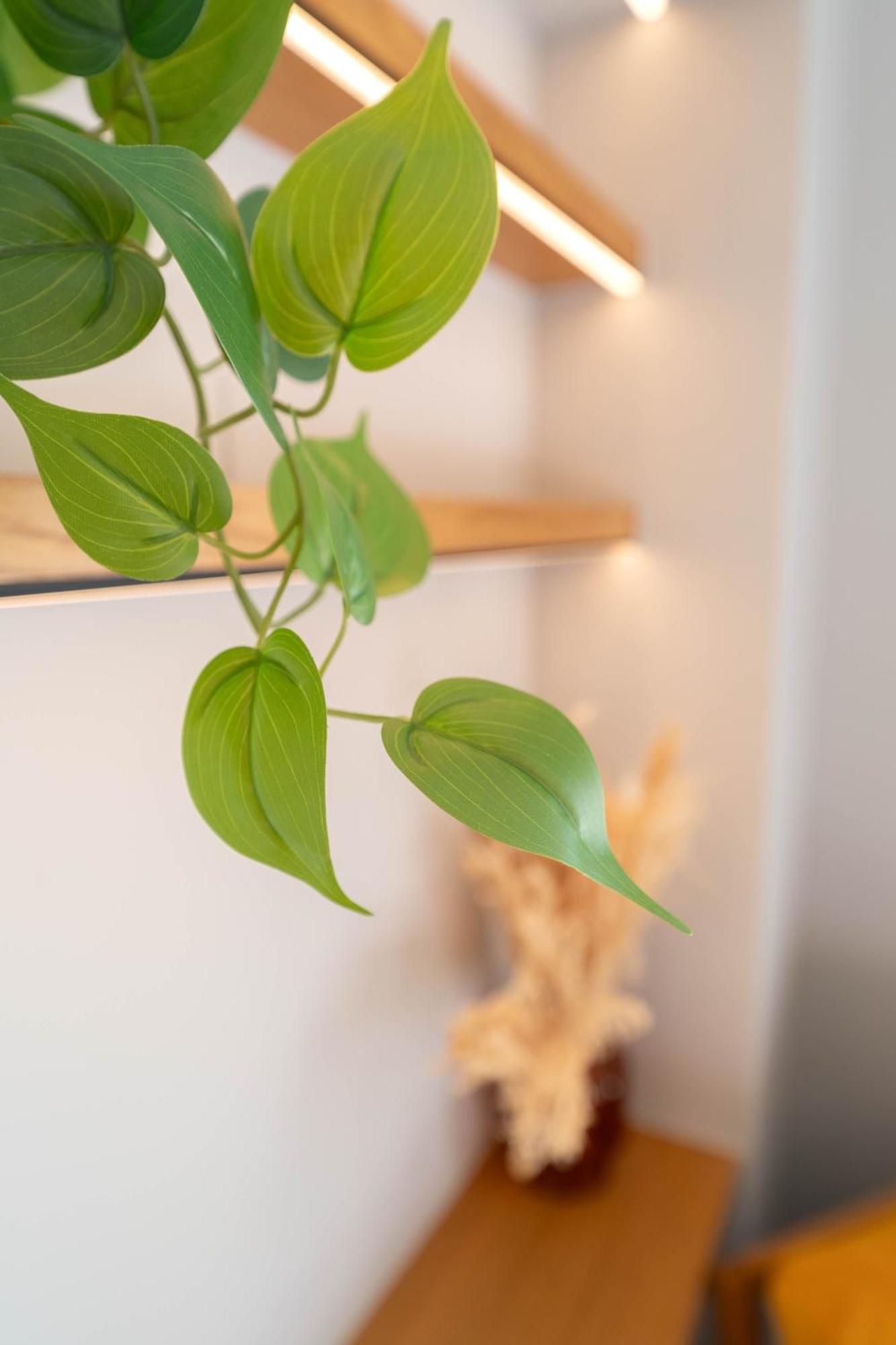 Old Town Diamond, Adorable Sunny With Ac * Nice