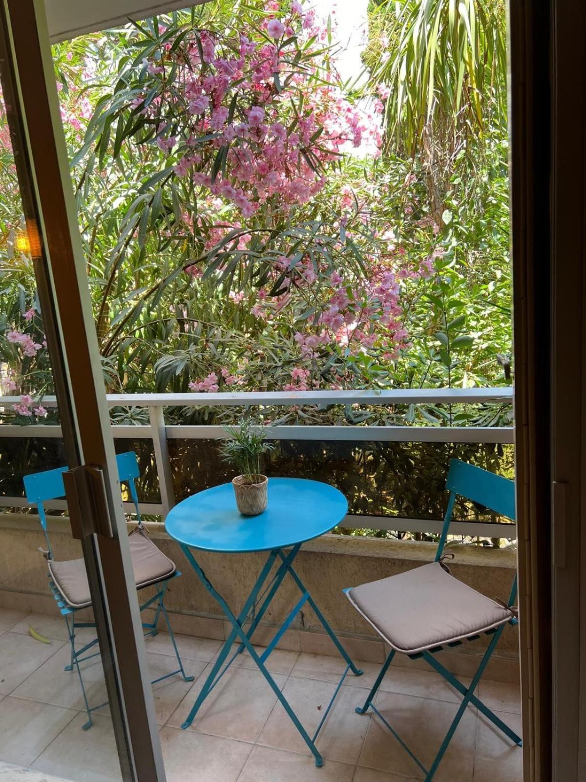 Les Magnolias 06 Nice