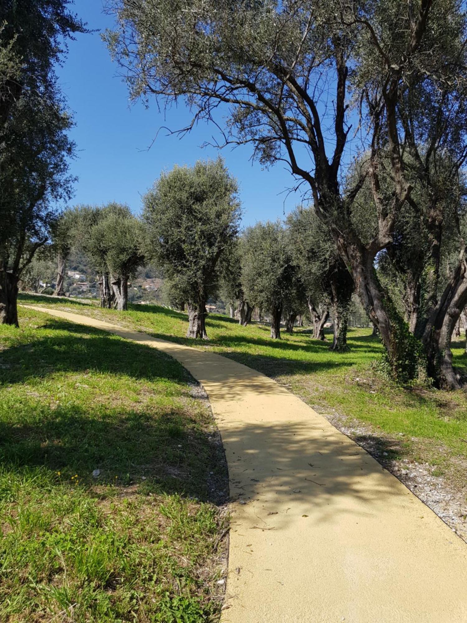 Laconsolate Apartment