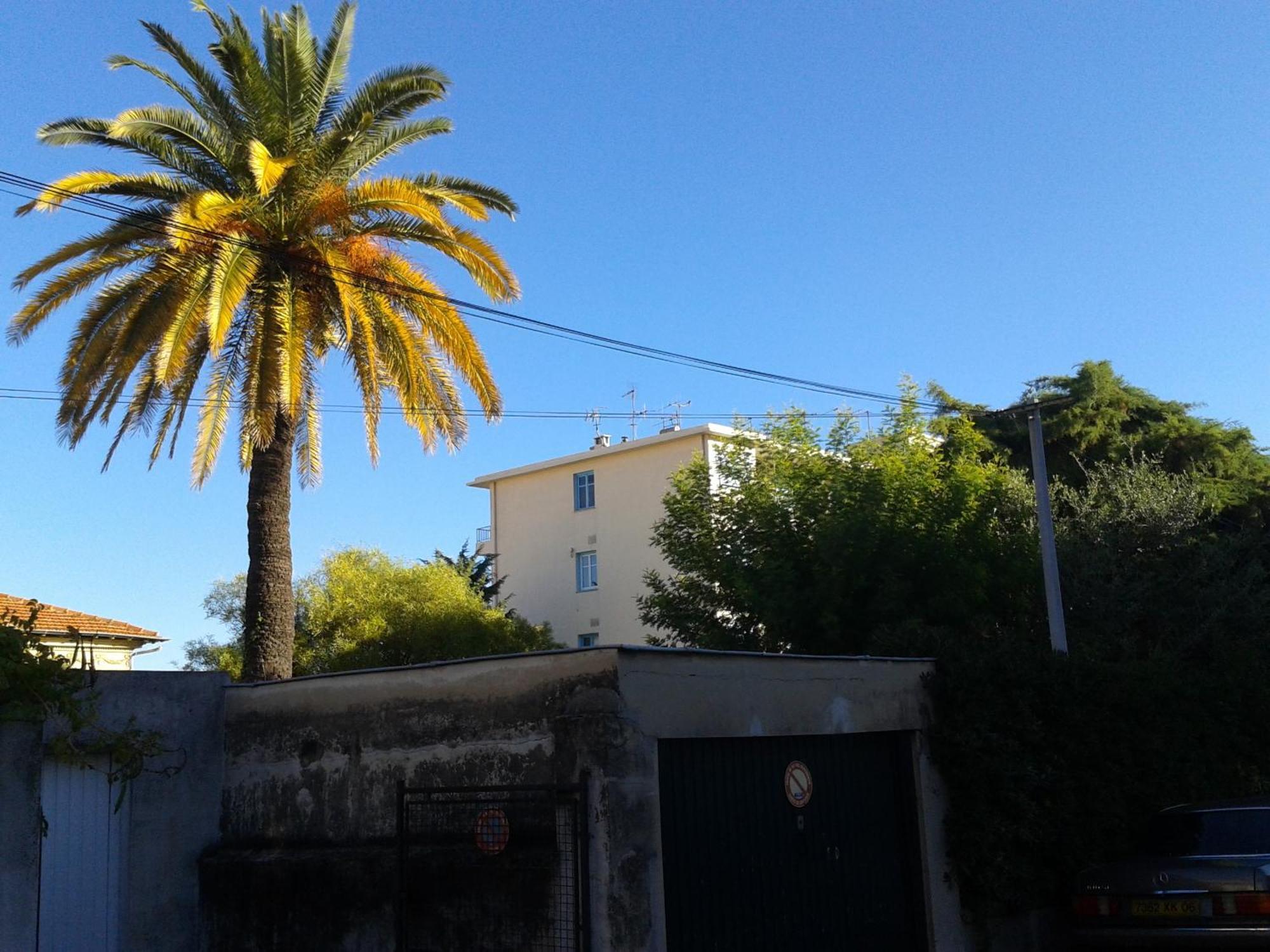 Buenos Aires Apartment Nice