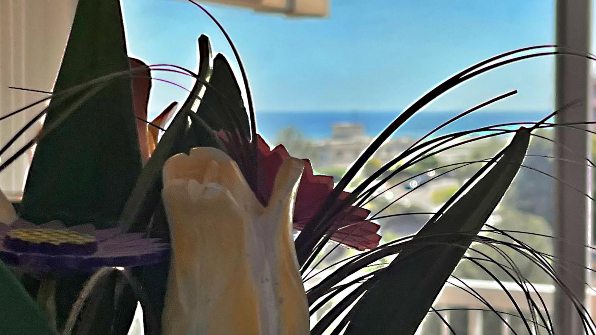 Vista Mare Apartment Nice