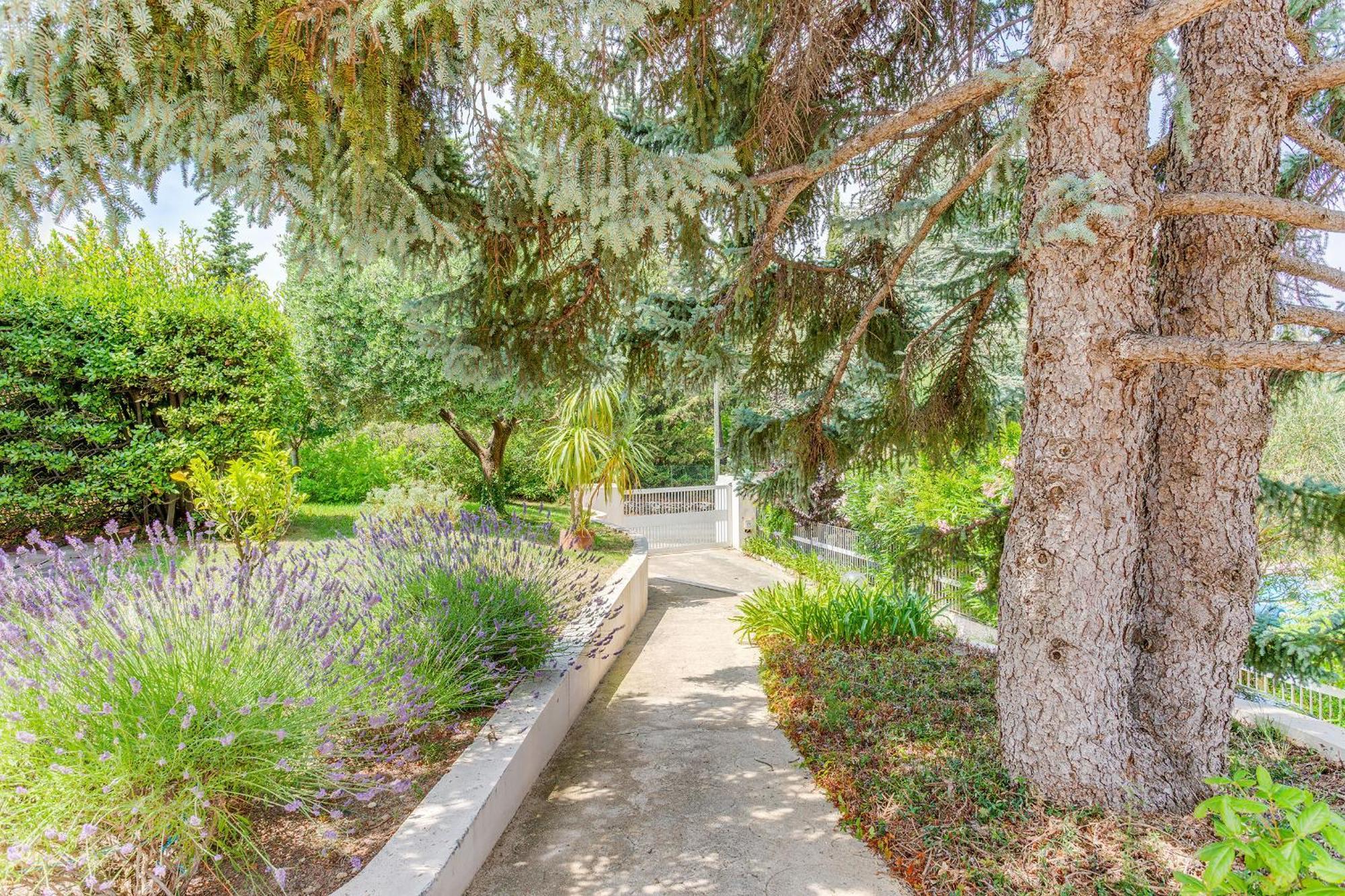 Dyonis Vi4439 By Riviera Homes *