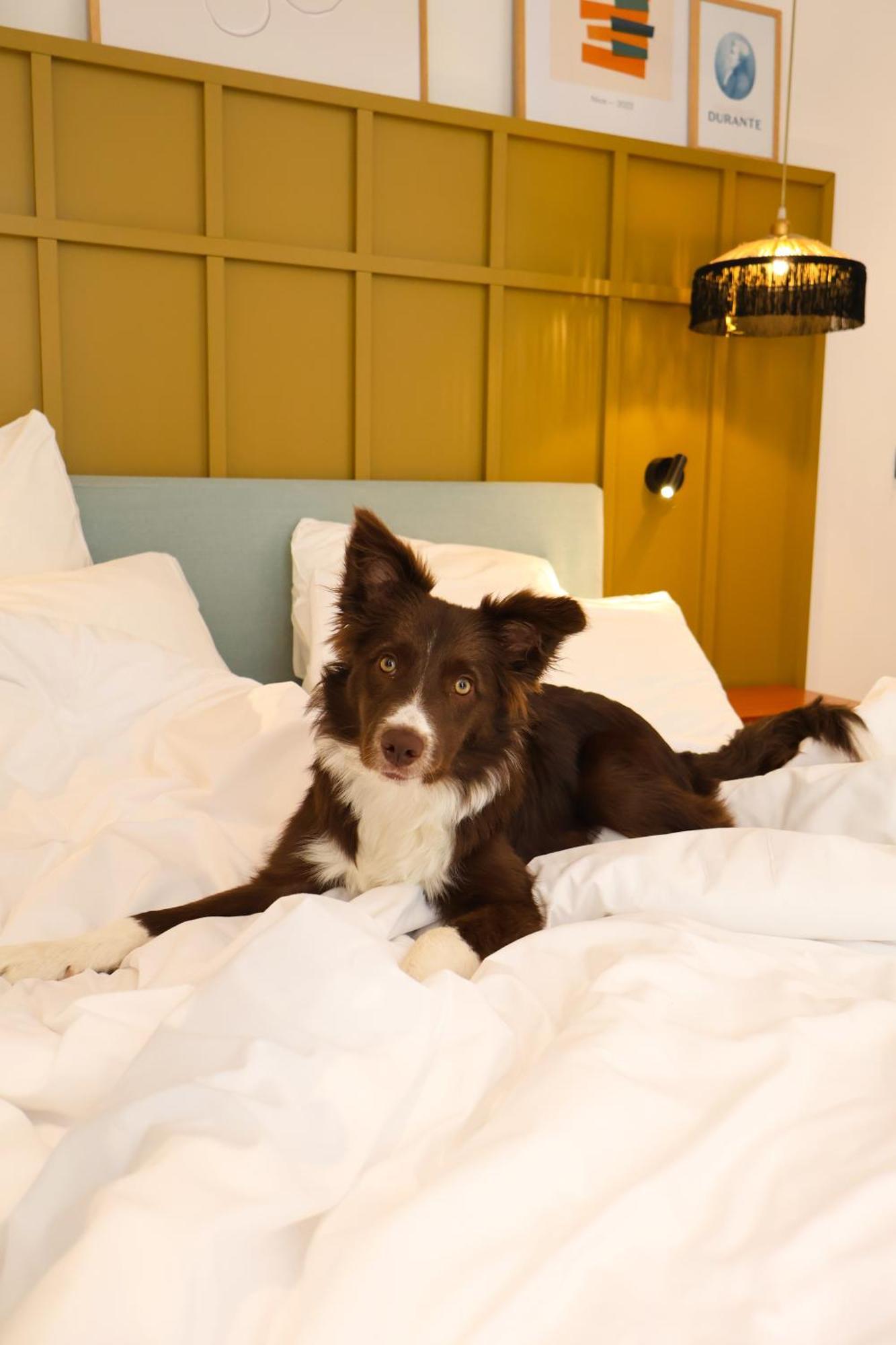 Maison Durante Hotel 4*