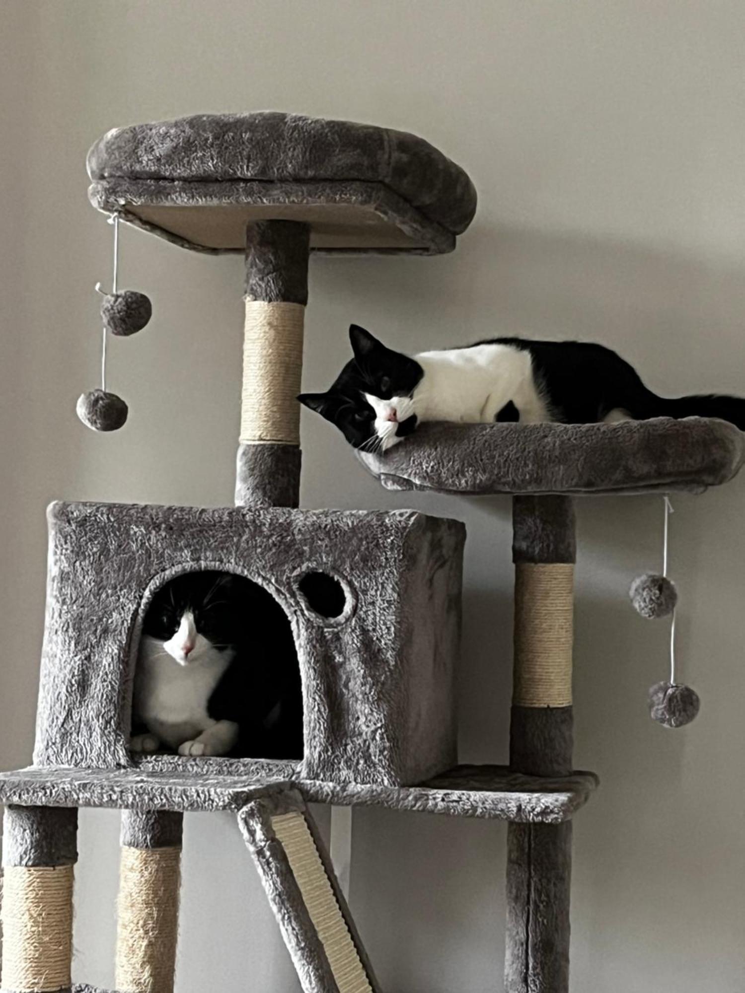 Vue Jardin Alsace Lorraine Victor Hugo 3*