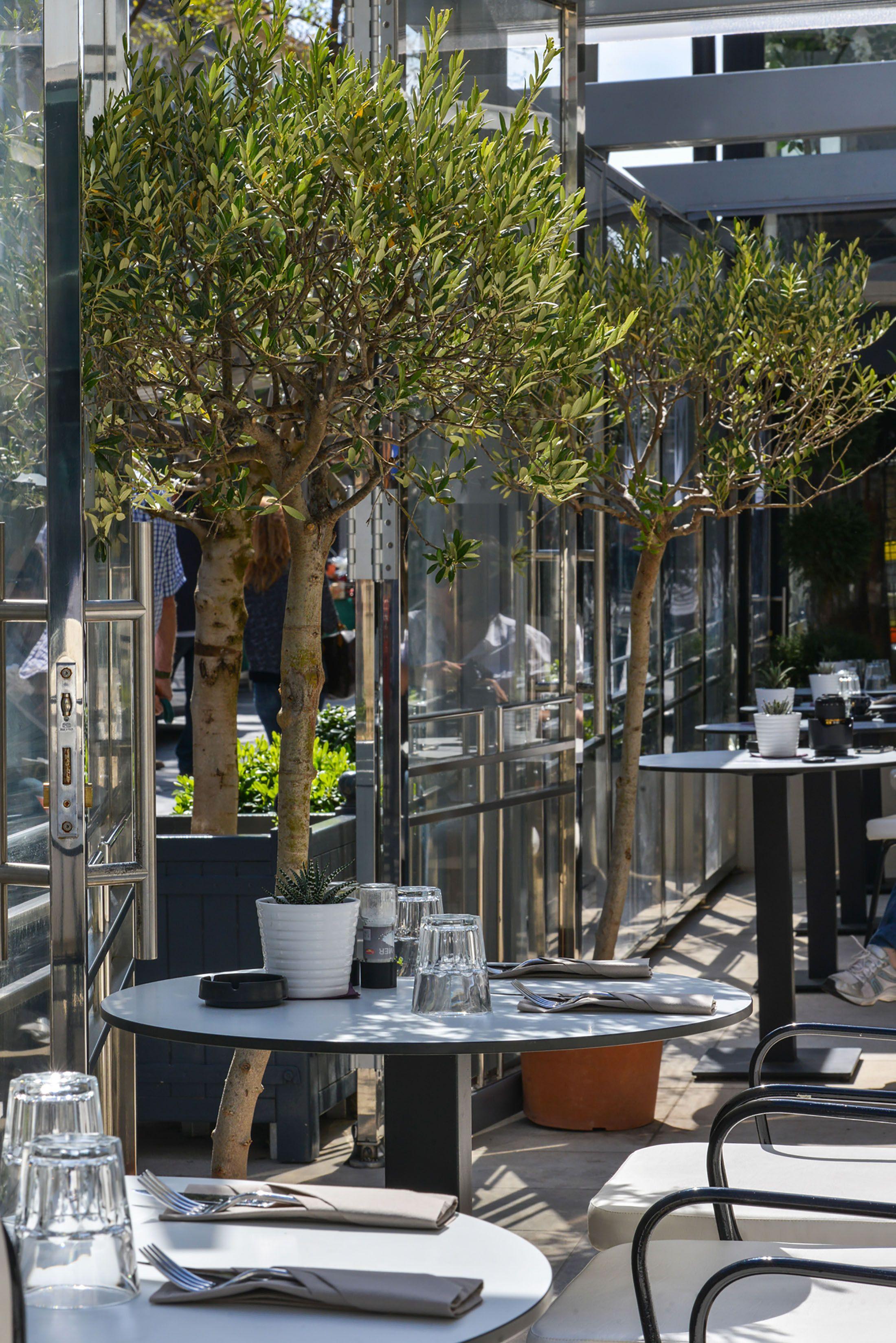 Hotel & Monsigny Nice