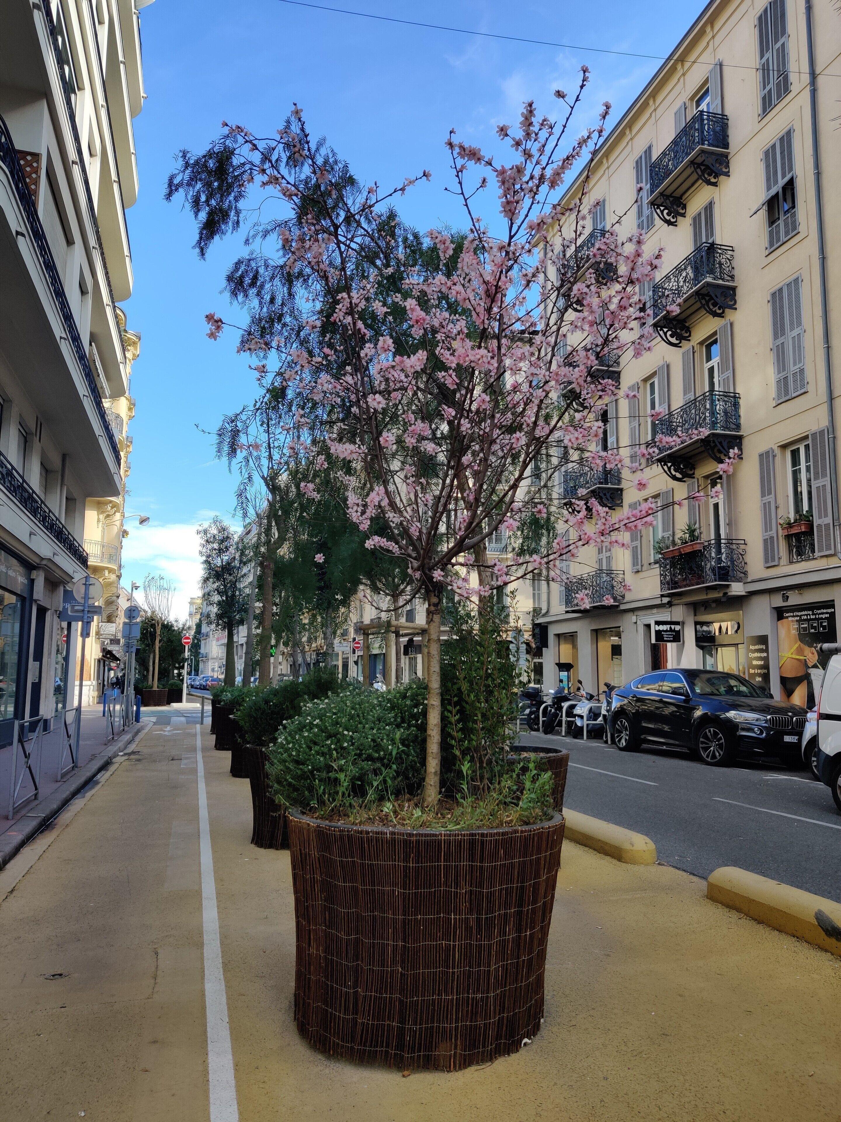 Les Cigales Hotel Nice