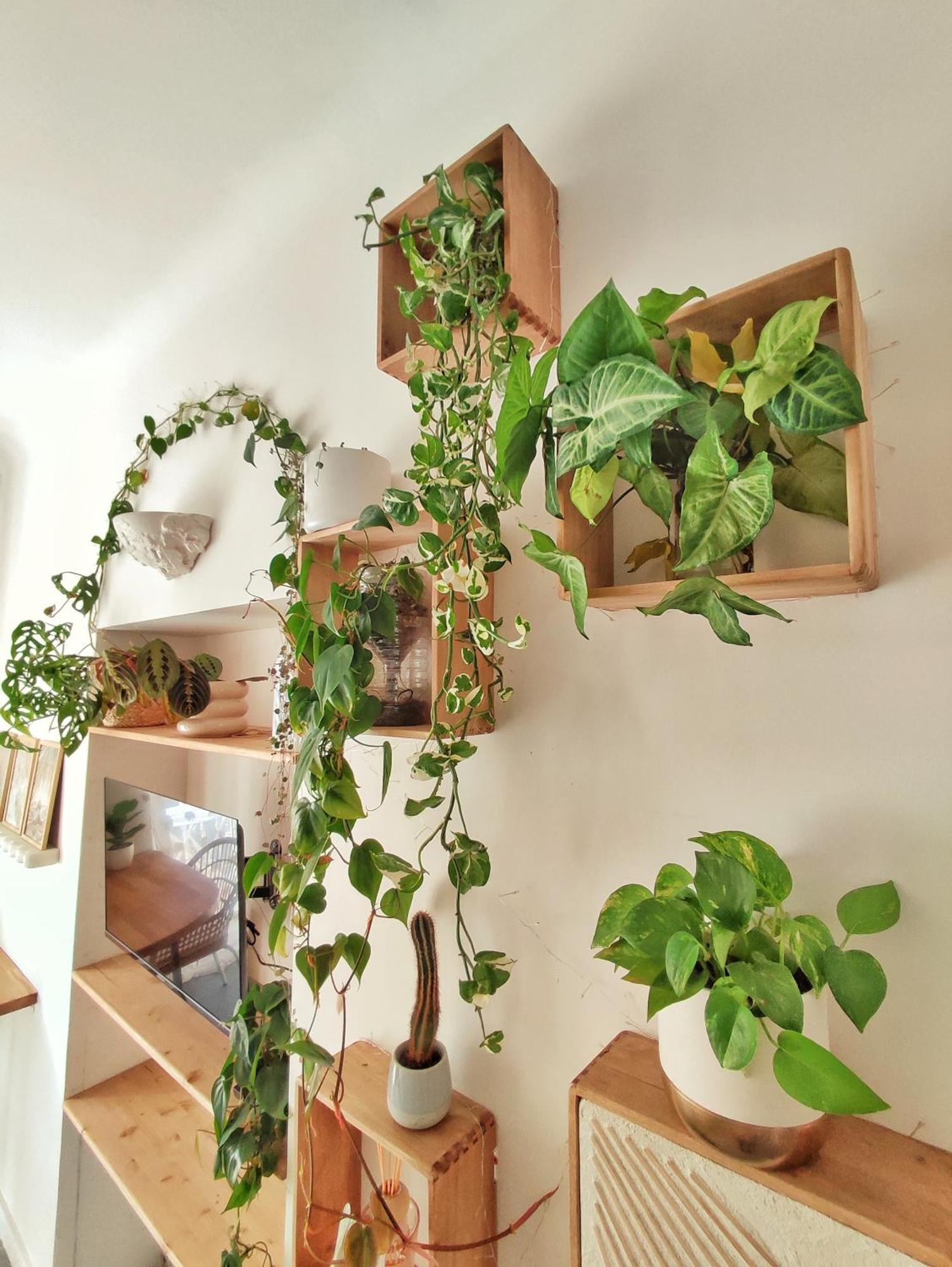 Jungle Boheme - A 3 Min De La Promenade Des A Pieds Nice