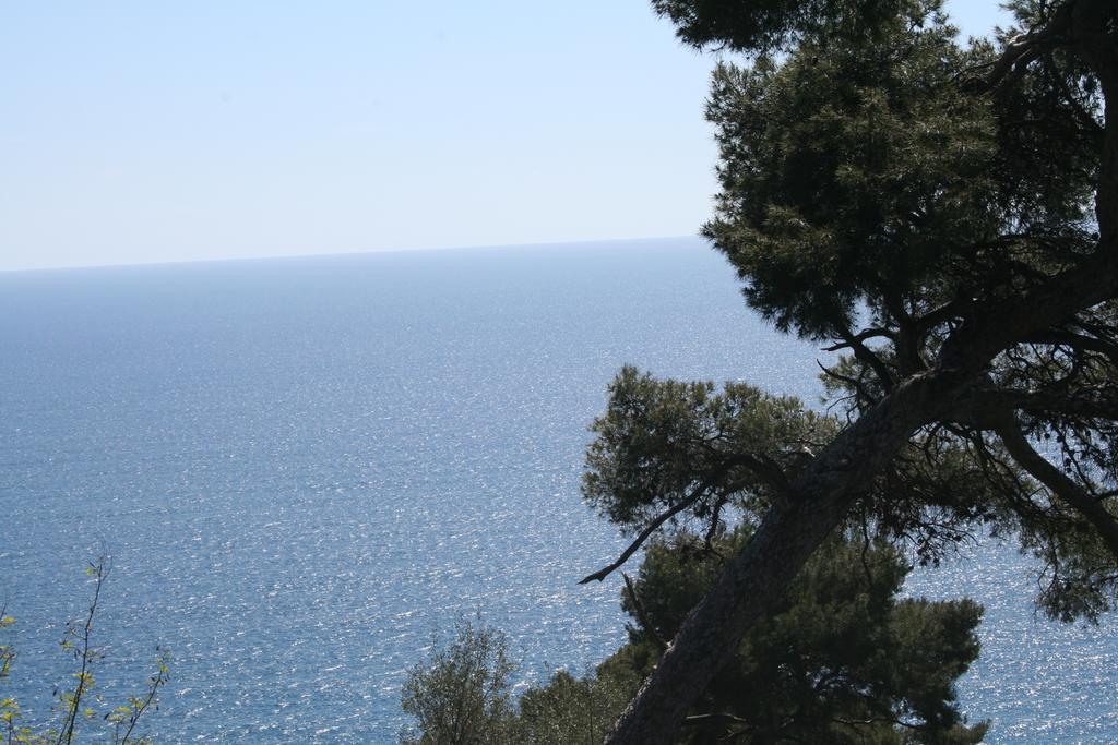 Apartment Un Appart En Ville *