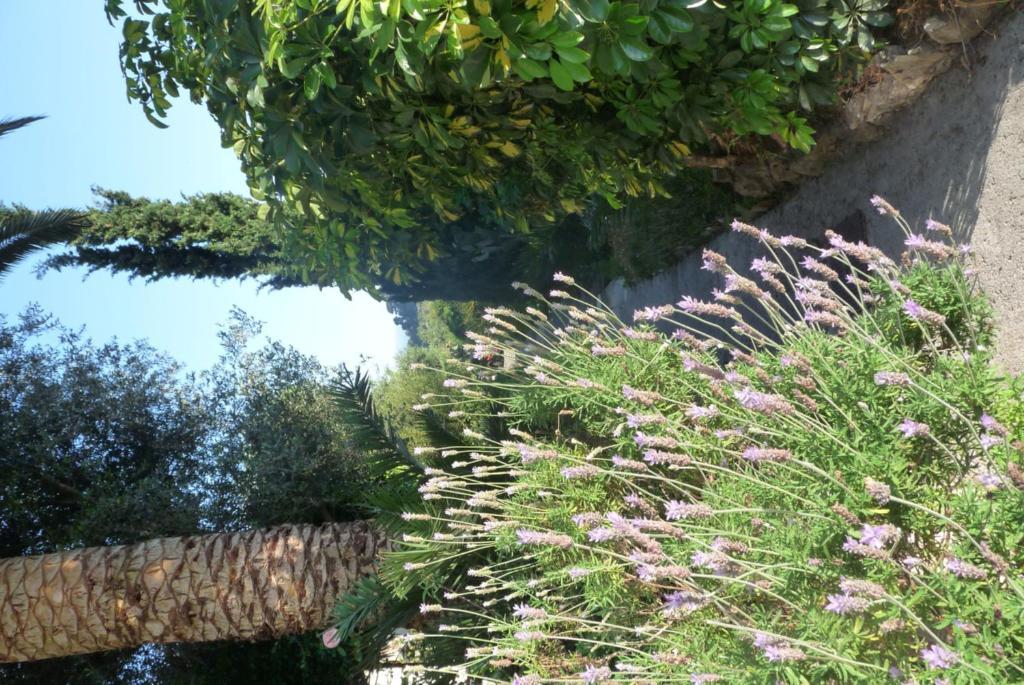 Bed & Breakfast Castel Enchante Nice