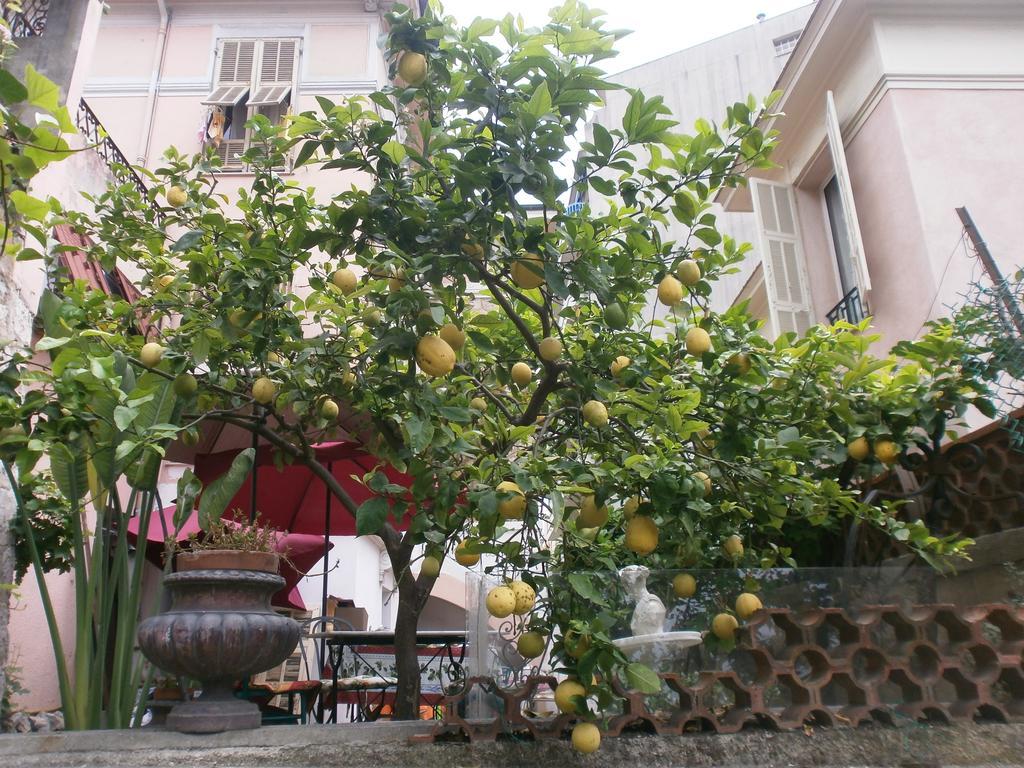 Bed & Breakfast Saphir Nice
