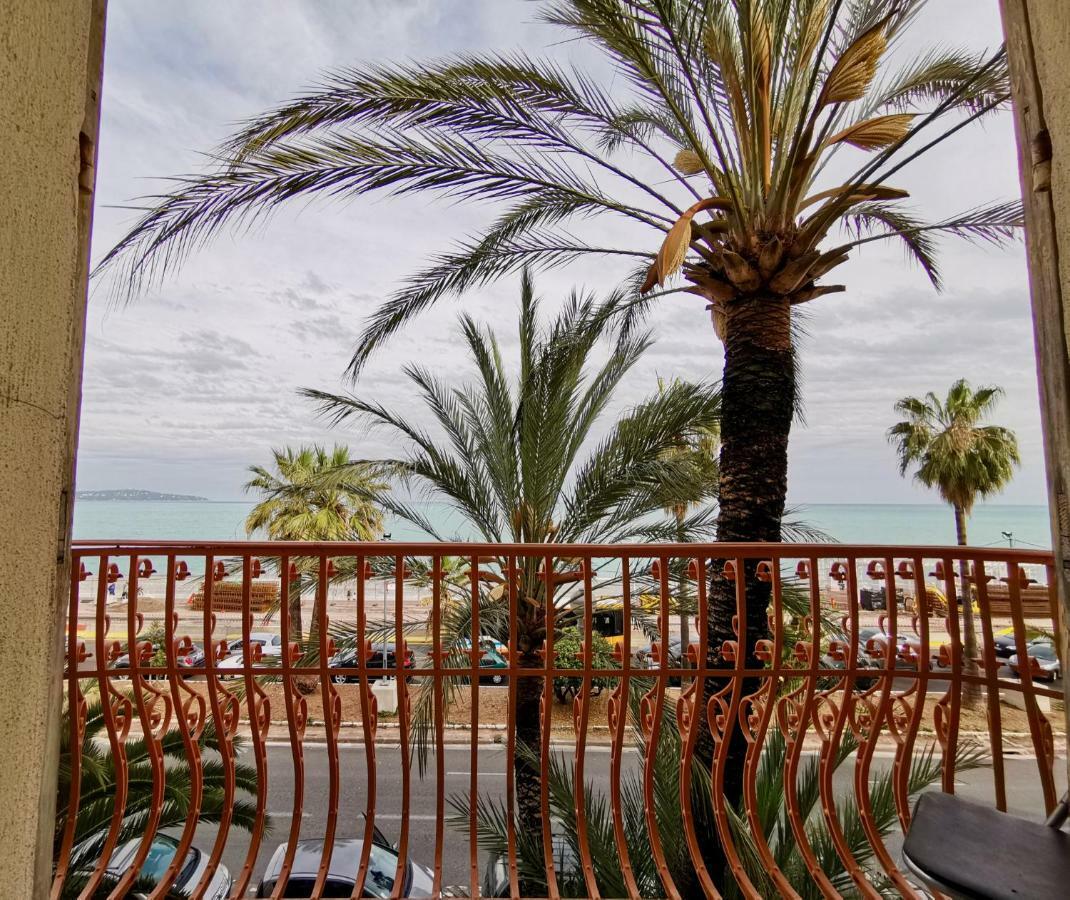 Palm Tree Promenade Nice