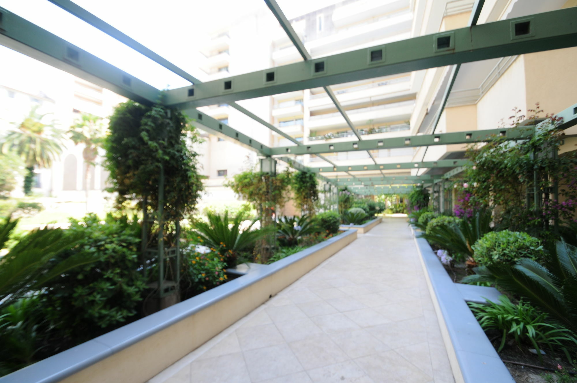 Palais Ophelia Apartment Nice
