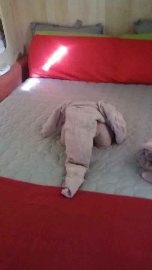 Breakfast At Sophy's * Nice