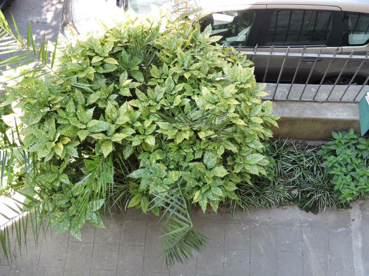 Nice/nizza : Apartment Nice