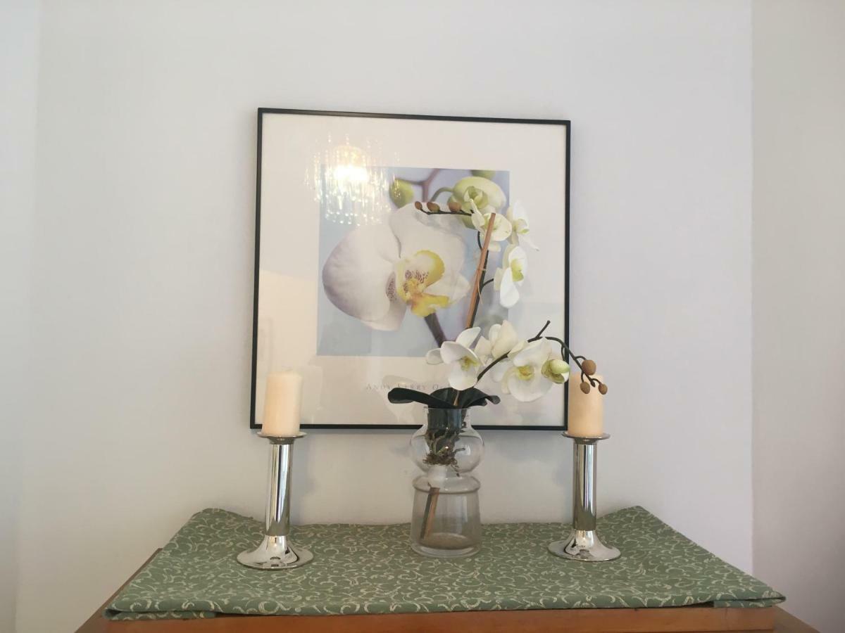 Apartamento Studio Le Colisee Rue Verdi Nice
