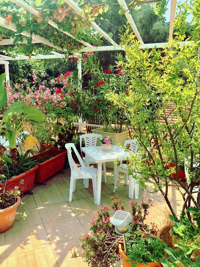 Villasud Apartment Nice