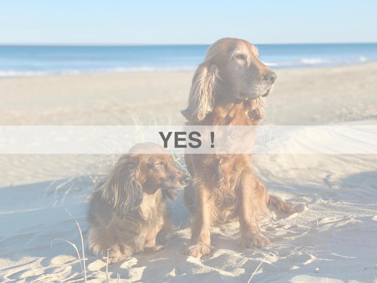 Apartment Ersextius, Ggb2,