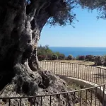 Nice Garden