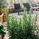 Charming Studio Mezzanine W/ Large Terrace - Nice