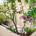 3 Pieces, Hyper-centre, Terrasse
