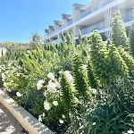Panoramic Sea View - Blue Pearl