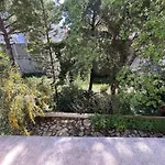 Seaside Jungle Retreat