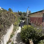 Seaside Jungle Retreat