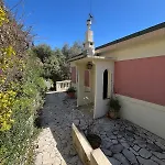 Seaside Jungle Retreat