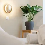 Apartment Ambiance Cosy A La Nicoise Nice