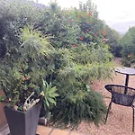 Studio Vue Mer Et Jardin