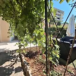 Lovely With Private Garden And A Swimming-pool Nice