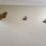 Promenade Appartements Les Lions