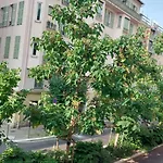 - Duplex Carre D'or - 100m Promenade Des Apartment