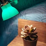 Bougainville By Happyculture Hotel
