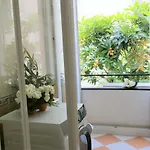 Apartment Roses & Ivy, Rue Du Congres *