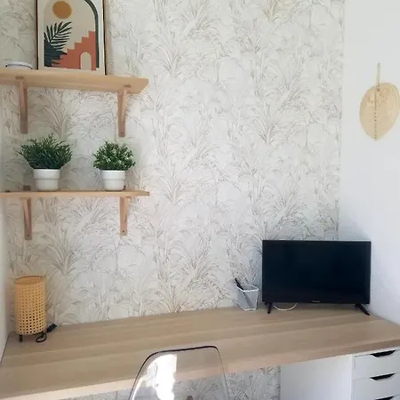 Apartment Studio A 50m De La Mer Et Au Pied Du Tramway, Calme, Cosy Et Lumineux Nice