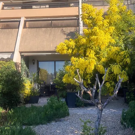 Apartment Vue Et Jardin Nice