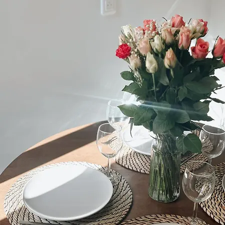 Center - Spacious Luxury With Air Conditioning Apartment Nice