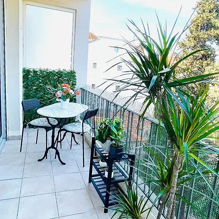 T2 Carre Or Rue Pietonne Apartment *