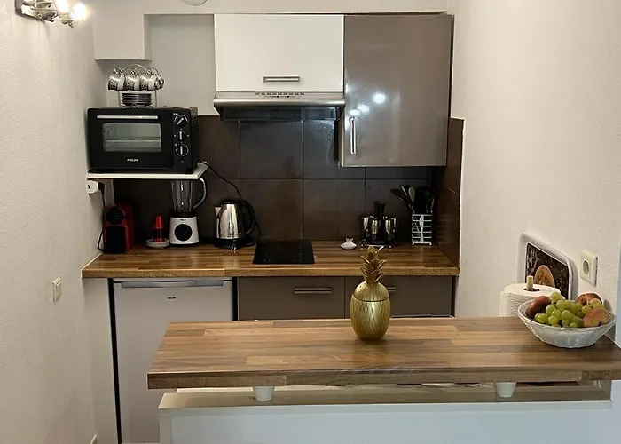 Appartement 2 Pieces Nice