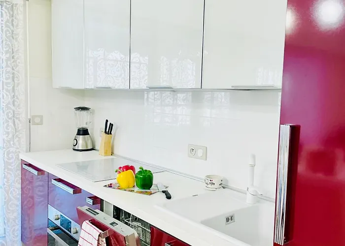 Spacious Apartment In The Center Of Nice Near The Sea
