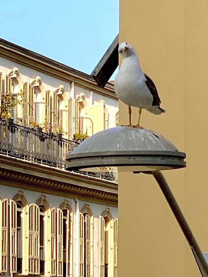 Apartment 2 Bedroom - Hyper Center - Kitchen - Tramway - Balcony - Air Conditioner - Wifi Nice