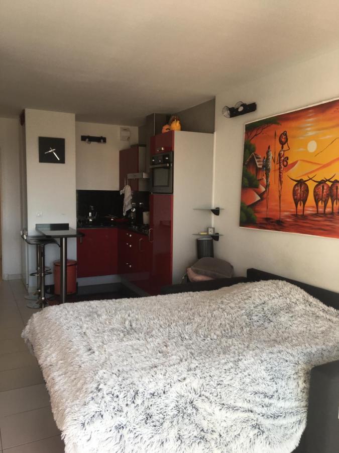 Apartment Superbe Parking Piscine