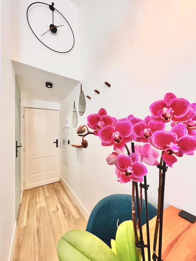 Duplex Le Gesu - Heart Of Old Town - Modern - Wifi - Clim Apartment Nice