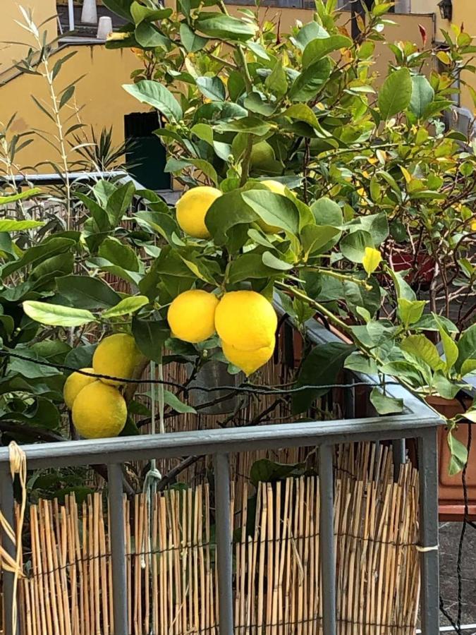 Profiter Des Plages Et Du Vieux