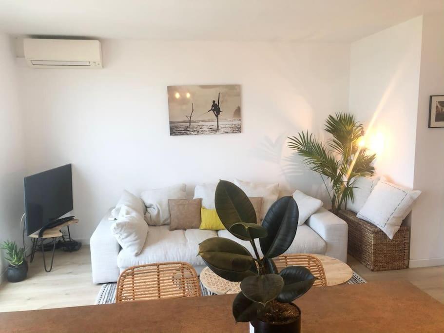 Superbe Vue Panoramique Nice