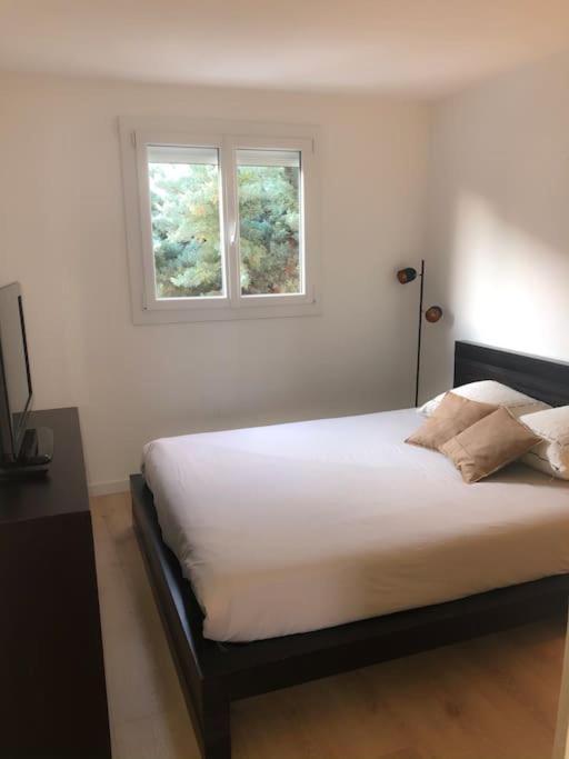 Superbe Vue Panoramique Nice