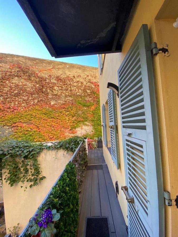 Riviera: Vieille Loft With Terrace Apartment Nice